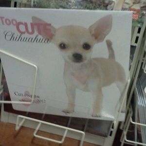 Meet your Posher, Triston